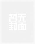 人偶夫人系列